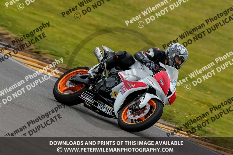 PJ Motorsport 2019;anglesey no limits trackday;anglesey photographs;anglesey trackday photographs;enduro digital images;event digital images;eventdigitalimages;no limits trackdays;peter wileman photography;racing digital images;trac mon;trackday digital images;trackday photos;ty croes